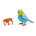 DigiBirds - Single Pack - Turquoise