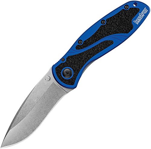 Best kershaw leek speedsafe knife