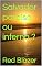 Livro Salvador paraíso ou inferno ?