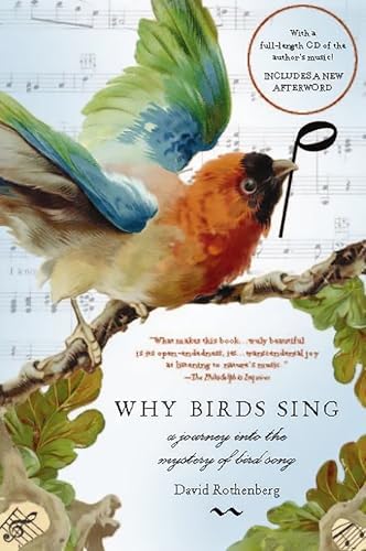 Bug Music: How Insects Gave Us Rhythm and Noise: Rothenberg, David