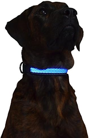 Green Jaguar Mesh Led Light Dog Collar Rechargeable