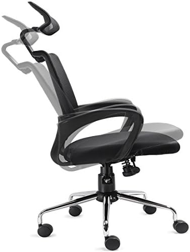 Recline Ergonomic Mesh Office Chair w/ Lumbar Support and Adjustable Headrest