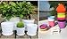 TRUEDAYS 4.3 Inch Plastic Planter Multi Color Flower Pots with Plant Saucer Modern Garden Pots for House Plants, Set of 10