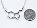 Anatomology Pewter Serotonin Molecule Cast Necklace, Serotonin Necklace Sterling Silver Chain Gift Packaged with informational Card