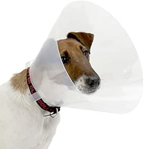 30cm dog cone