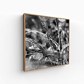 Canvas Wall Art for Living Room, Bedroom Monochrome Image Framed Canvas Prints for Home Decoration Ready to Hang - 16x16 inches