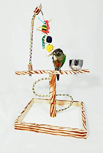 Birds LOVE Bird Play Gym Tabletop w Cup, Toy Hanger and Toy, Javan TigerTail Stand – Small