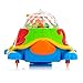 Toysery Light Up Turtle Toy with Lights and Sound for Baby and Toddler Battery Operated