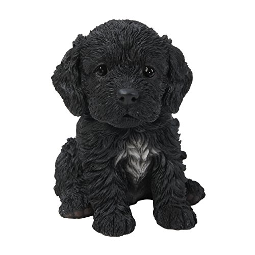 Vivid ArtsPP Cockapoo Puppy Black