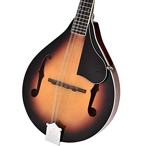 5 LAGRIMA+Mandolin+Acoustic+Mandolins+Instrument