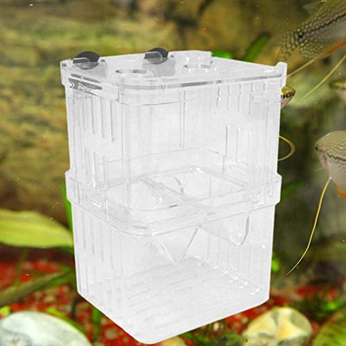 ttnight Acrylic Fish Tank Breeding Box Aquarium Double Guppies Hatching Incubator