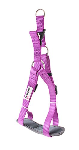 Doodlebone Padded Dog Harness, Purple, Large