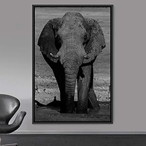 signwin Framed Canvas Wall Art Duotone Elephants Animals...