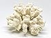 White Resin Sea Coral Piece | 3.5