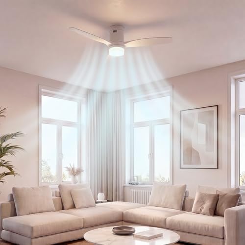 Deckenventilator EnergySilence Aero 4600 Arctic Steel&Sand