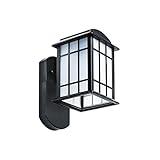 Maximus Smart Companion Light (Camera-Less) - Craftsman Textured Black - Bluetooth Enabled
