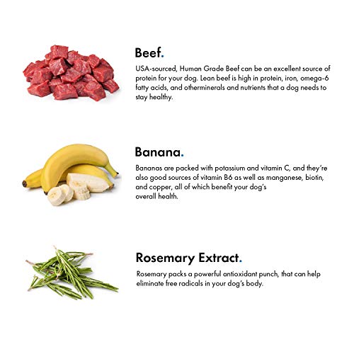 Pet Jerky Factory Premium Dog Treats 100 Human Grade USA Made