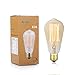 Dimmable Vintage 60 Watt Edison Light Bulb, Amber Warm Glow, Clear Glass Squirrel Cage Filament Light Bulb, E26 Medium Base, Pack of 4