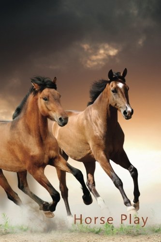 Internet Password Organizer (Horse Play): A discreet password log book for people who love horses (D by Ceri Clark