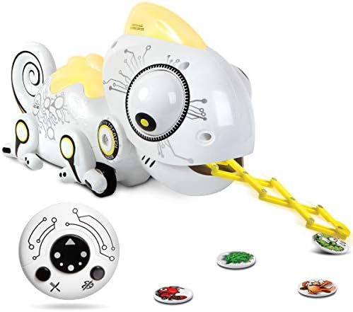 colour chameleon toy