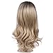 Lady Miranda Ombre Wig Brown To Blonde High Density Heat Resistant Synthetic Hair Weave Full Wigs For Women (Brown&Blonde)