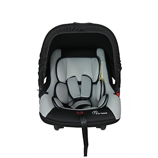 r for rabbit picaboo