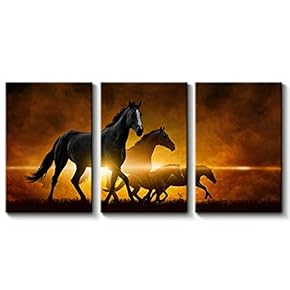 SIGNFORD 3 Panel Canvas Wall Art Beautiful Horse...