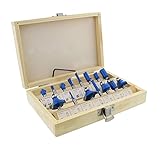 ABN Tungsten Carbide Router Bit 15-Piece Set, 1/4in Shank – Woodworking Routing Drill Bits Kit with Carrying Case