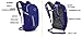 Osprey Daylite Plus Daypack, Eggplant Purple, (Prior Season)