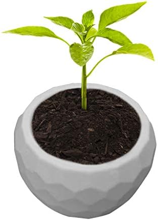 Yanhonin Flower Pot Silicone Mold, Succulent Plant Vase DIY Silicone Mold, DIY Crafts Making Tool