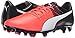 Puma Men's Evopower 3.3 Tricks Fg Soccer Shoe