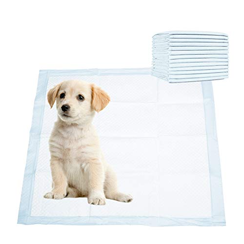 Wisita Pack of 100 Pieces Puppy Pads with Super Absorbent Core Doggy Pee Pads with Odor Neutralizer Pet Training Pads for Small Dogs, 22x23 Inches