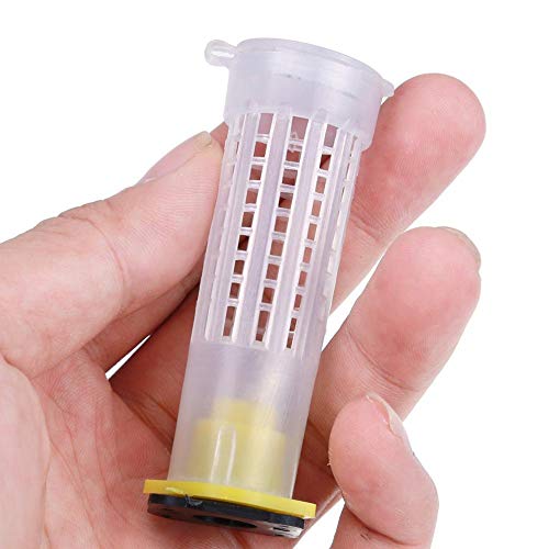Zqasales Bee Hive Beekeeping King Box Pollination Box Beekeeping Cultivating Tool Cultivating Plastic Box for Garden Pollination