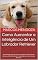 Livro Como Aumentar a Inteligência de Um Labrador Retriever: Um Labrador Retriever Mais Inteligente é Um Labrador Retriever Mais Obediente - Como Adestrar Um Labrador Retriever
