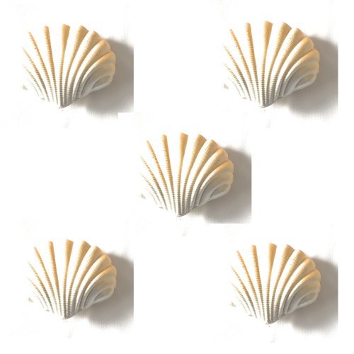 surprise mega grow egg