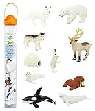 Safari Ltd Arctic TOOB With 10 Fun Figurines, Including A Harp Seal, Husky, Caribou, Arctic Rabbit, Killer Whale, Walrus, Arctic Fox, Beluga Whale, Igloo, And Polar Bear  For Ages 3 and Up