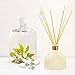 MINX Fragrances White Tea Scented Oil Reed Diffuser Gift Set Beautiful Gift Box! Relaxing Fragrance Oil Diffuser | Unique Gift Idea! Large 6.5 oz | Made in The USA