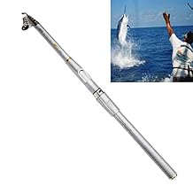 Caña de Pescar de Fibra de Vidrio de Fibra de Vidrio portátil de 5 Secciones, cañas, 2.7 m al Aire Libre