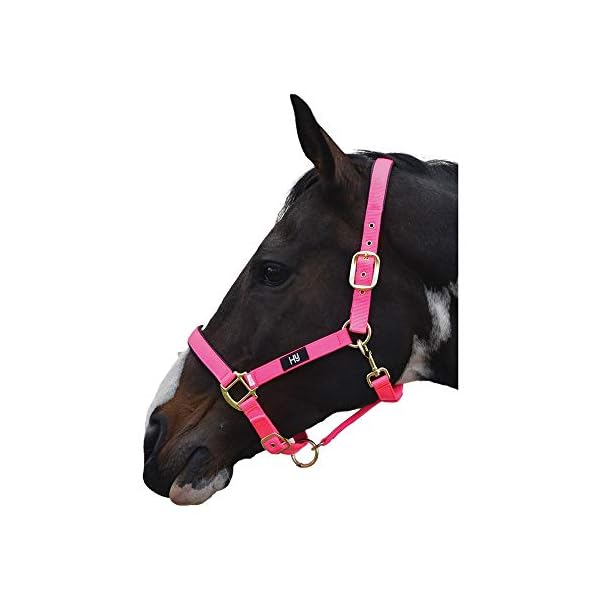 Hy Grand Prix - Cavezza