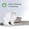Ever Clean Extra Strong Clumping Cat Litter, 10 Litre, Scented