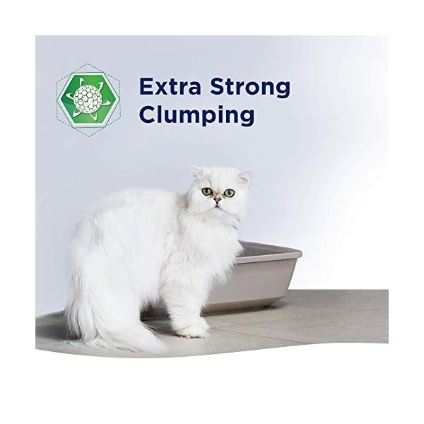 Ever Clean Extra Strong Clumping Cat Litter, 10 Litre, Scented