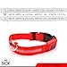 Sick Products LED Dog Collar, USB Rechargeable Light Up Pet Collar, Glowing Night Safety Collar Lights Up for Small, Medium, and Large Size Dogs