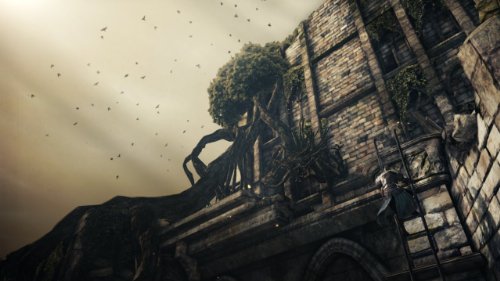 Dark Souls II - Image 19