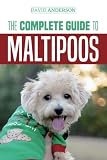 The Complete Guide to Maltipoos: Everything you need to know before getting your Maltipoo dog