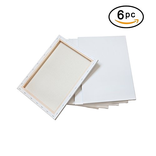 Phoenix 12x16 Inch Pre Stretched Canvas for Painting 6 Set of Value Pack 5/8 Inch Profile for Acrylics, Oils and Other Painting Media