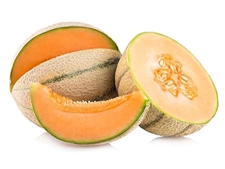 Kraft Seeds Muskmelon F1 Hybrid Vegetable Seeds with Free Agro peat Soil (Multicolour, 15 Pieces)