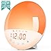 Wake Up Light Alarm Clock,Sunrise Alarm Clock with Sunrise/Sunset Simulation & White Noise Sleep Aid,7 Colors Atmosphere Lamp,8 Natural Sounds & Voice Recorder,FM Radio,Snooze for Kids Adults Bedroom