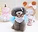 Boomboom Adorable Dog Dress Clothes Grid Skirt for Small Medium Pet Dog (M, Blue)