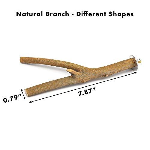 GNB PET 2 Pack Bird Perch Parrot Natural Wood Fork Stand Perch (7.87 Inches), Birdcage Stands Platform Pet Bird Toys with Stainless Steel Washers