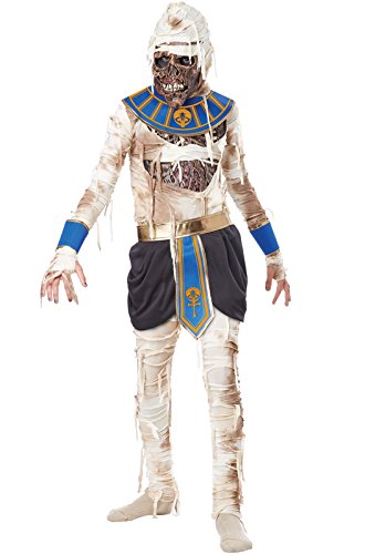 California Costumes Pharaoh's Revenge Costume